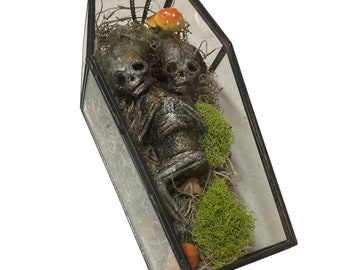 Already Dead Glass Coffin Siamese Twin Mummy Corpse Terrarium Moss Garden