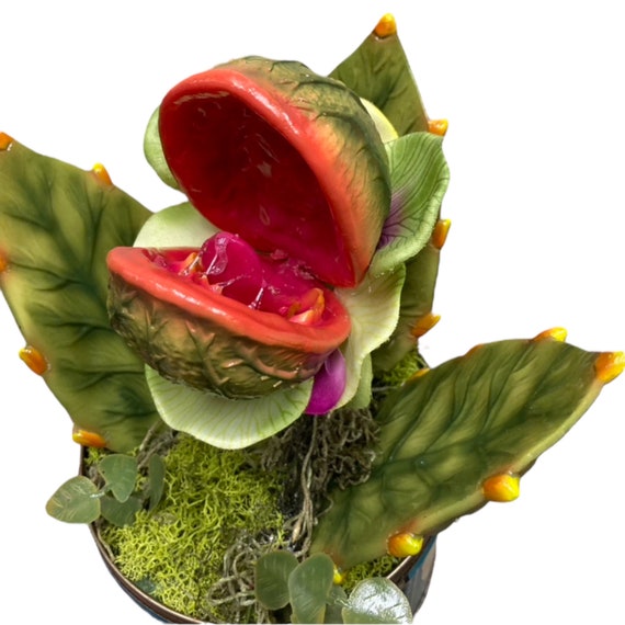 Deluxe Baby Little Shop Killer Plant Audrey Horror Piranha Alien