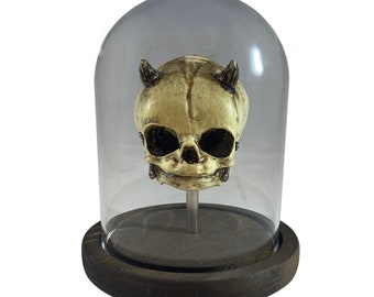 Demon Devil Fetus Skull with Glass Bell Jar Belljar Oddity