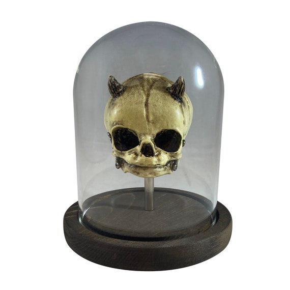 Demon Devil Fetus Skull with Glass Bell Jar Belljar Oddity