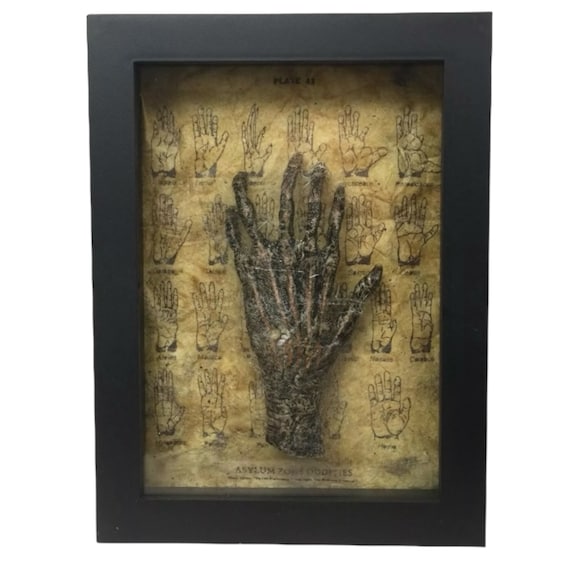 Bizarre! Cursed 6 Finger Six Finger Faux Monkey Paw Medical Specimen Frame with Spiderwebs