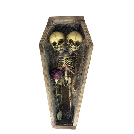 Deluxe Conjoined Siamese Twin Skeleton Fetus in Coffin Oddity