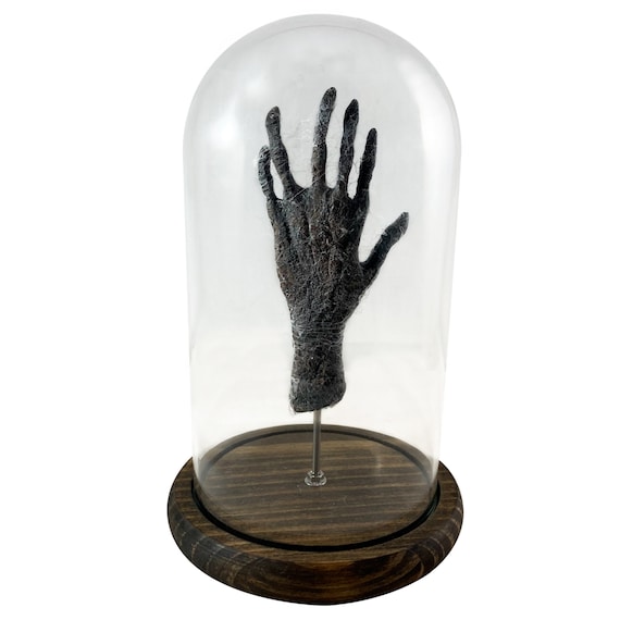 Bizarre! Cursed 6 Finger Vintage Monkey Paw in Bell Jar