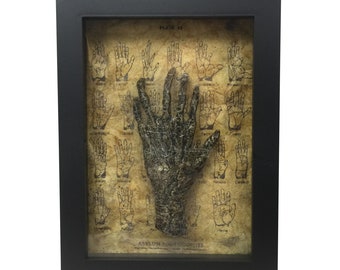 Bizarre! Cursed 6 Finger Six Finger Faux Monkey Paw Medical Specimen Frame with Spiderwebs