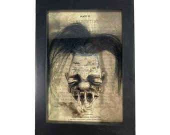 Shrunken Head in a Frame Voodoo Magic Witchcraft Oddity Gaff