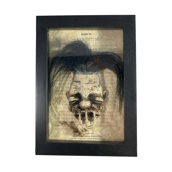 Shrunken Head in a Frame Voodoo Magic Witchcraft Oddity Gaff
