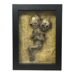 Pode incluir: Uma vitrine enquadrada que mostra um bebê de duas cabeças preservado com o texto "MONSTERT" na parte inferior. A vitrine é cercada por ilustrações de vários gêmeos siameses.