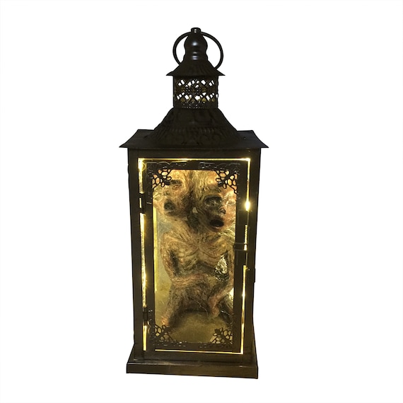 Siamese Twin Fetus Mummy in Lantern with LED Battery Powered Lights and Spiderwebs Two Headed Fetal Gaff