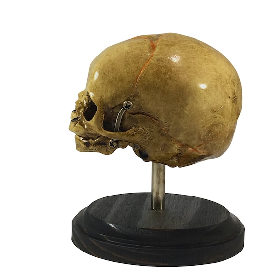 ３個で！トリニティー スカル TRINITY SKULL 3個で！トリニティー スカル TRINITY SKULL Number (N)ine SS04