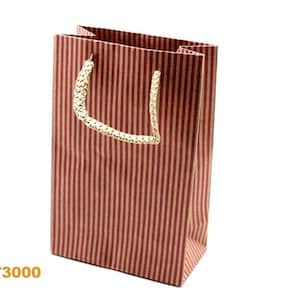 6 Party Bags, Pinsripe Gift Bags with Rope Handle, Kraft Gift Bags, Party Favour Bags, Party Bags, Party Supply, Recycled Bags