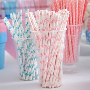 Biodegradable Paper Straws 