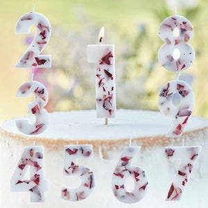 Velas de pétalos prensados con números para tarta de cumpleaños, decoraciones para tartas de cumpleaños, decoración de cumpleaños, velas de aniversario, velas para marcar la edad, primer cumpleaños