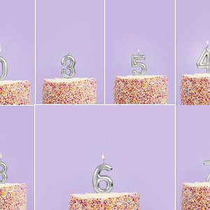 Silver Number Candles, Silver 0,1,2,3,4,5,6,7,8,9 Candle, Birthday Candle, Silver 18th, 21st,30th,40th,50th,60th,70th,80th,90th,100th Candle