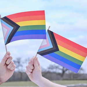 Handheld Pride Flag, 5 Rainbow Pride Flag, Pride, Pride Month, Pride Festival, Pride Parade, LGBTQ ,Rainbow Flag, LGBT, Queer, Small Flag image 1