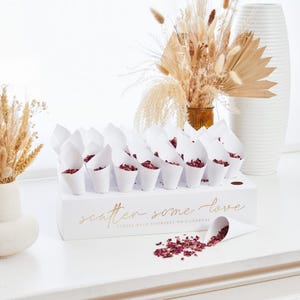 Coni di coriandoli, confezione da 45 con espositore – Portacoriandoli per matrimoni, coni per bomboniere, decorazioni rustiche per matrimoni