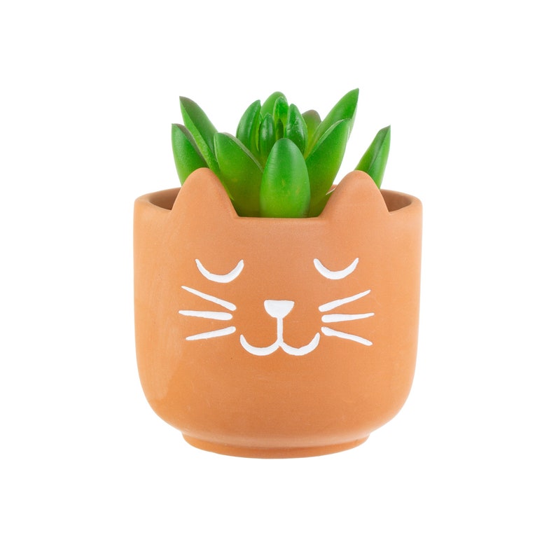 Мини кэт. Кошка терракота. Indoor Plants with a Cat.