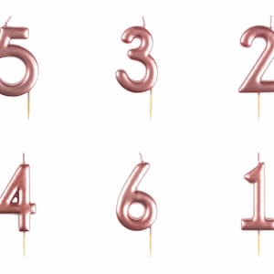 Rose Gold Number Candles, Rose Gold 0,1,2,3,4,5,6,7,8,9 Candle, Birthday Candles, Number Candles, 21st,30th,40th,50th,60th,70th,80th,90th