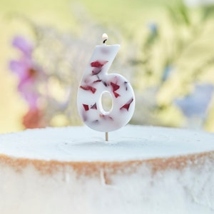 Pressed Petal Number 6 Birthday Cake Candle, Number 6 Candle, Birthday Decorations, 6th Birthday, Birthday Candle, Age Candles,60th Birthday
