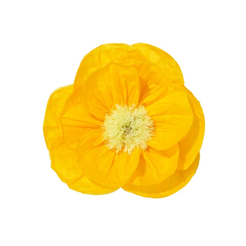 Paper Poppies Shop Window Decoration Paper Flower Weddings Etsy