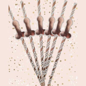 6 Willy Drinking straws, Hen Party Straws, Bachelorette Party Accessories, Naughty Party Decorations, Funny Drinking Straws, Girls Night Out