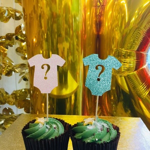 12 Gender Reveal-cupcake-stekkers, hij of zij-cupcake-stekkers, gender Reveal-feestdecoratie
