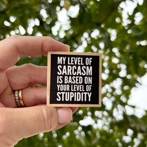 Funny Sarcasm Fridge Magnet, Sarcastic Quote, Locker Magnet, Office Magnet, Kitchen Decor, Humor Quote,  Stupidity, Dumb, Snarky, Work