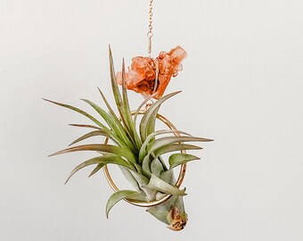 Aragonite Mini Air Plant Holder • Hanging Crystal Air Plant • Housewarming Gift • Meditation Crystal Home Decor • Easy Plant Gift