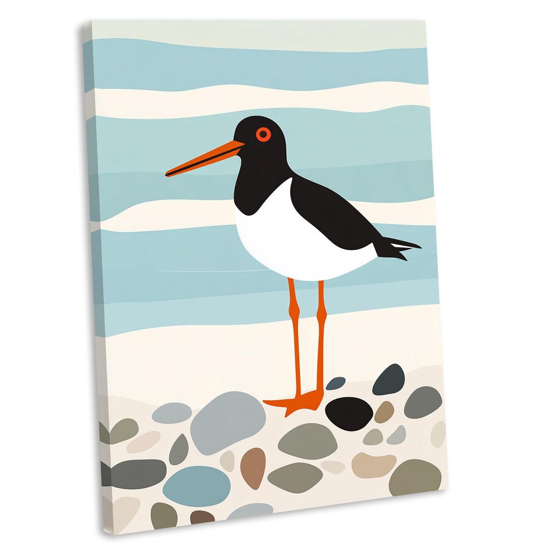 Oystercatcher Canvas Wall Art Print Coastal Seaside Theme Home Decor ...