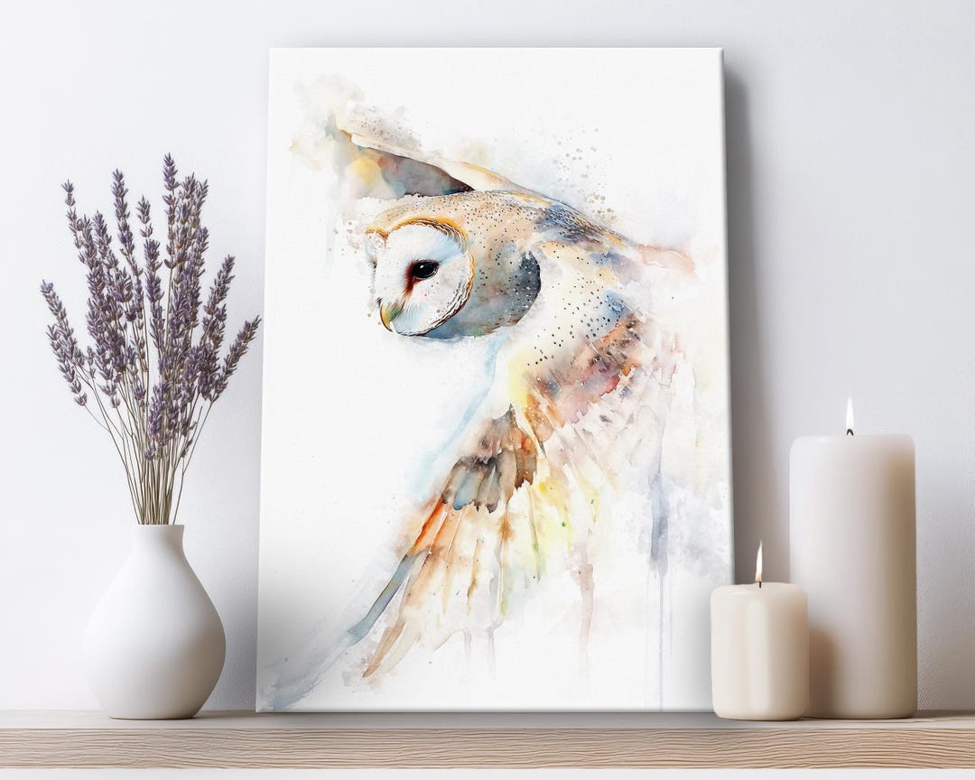 Barn Owl Flight Canvas Wall Art Print – Nature Picture, Framed Bird ...