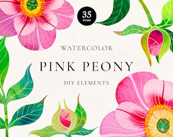 Pink Peony Watercolor Clipart, Digital Hand Drawn Botanical Clipart, Pink Watercolor Flowers PNG, Commercial License