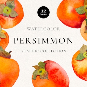 Persimmon Watercolor Clipart, Fruit Watercolor Painting, Handmade Botanical Clip Art, Persimmon Seamless Pattern, Fruit Arrangement image 1