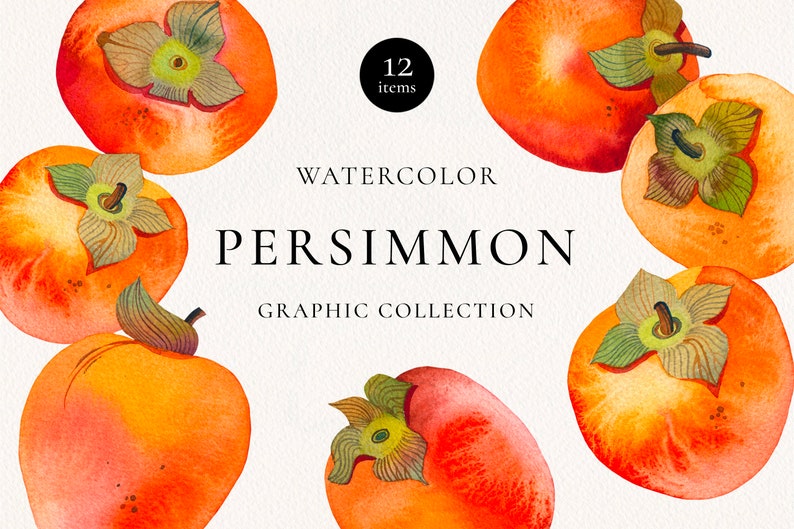 Persimmon Watercolor Clipart, Fruit Watercolor Painting, Handmade Botanical Clip Art, Persimmon Seamless Pattern, Fruit Arrangement image 1
