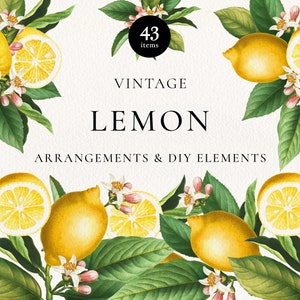 Lemon Citrus Fruits Arrangement Botanical Clipart, Retro Floral Lemon Bouquets, Lemon Citrus Wedding Invitation, Citrus Fruit Graphic