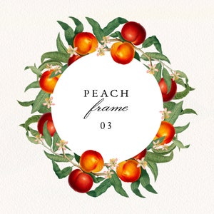 Peach Frame #03 PNG, Vintage Peach Fruit and Greenery Circle Frame, Botanical Wedding Invitation Clip Art, Commercial License