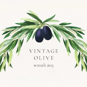 Olive Branches Garland 05 PNG, Olive Leaves and Fruits Wedding Invitation Clip Art, Commercial License image 1