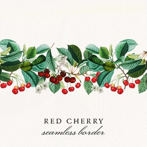 Vintage Cherry Border PNG: Seamless Botanical Clipart (Commercial License)