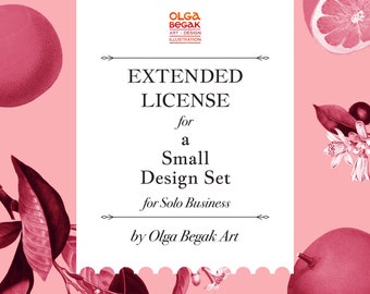 Extended License For A Small Design Set, Commercial Use No Credit Required