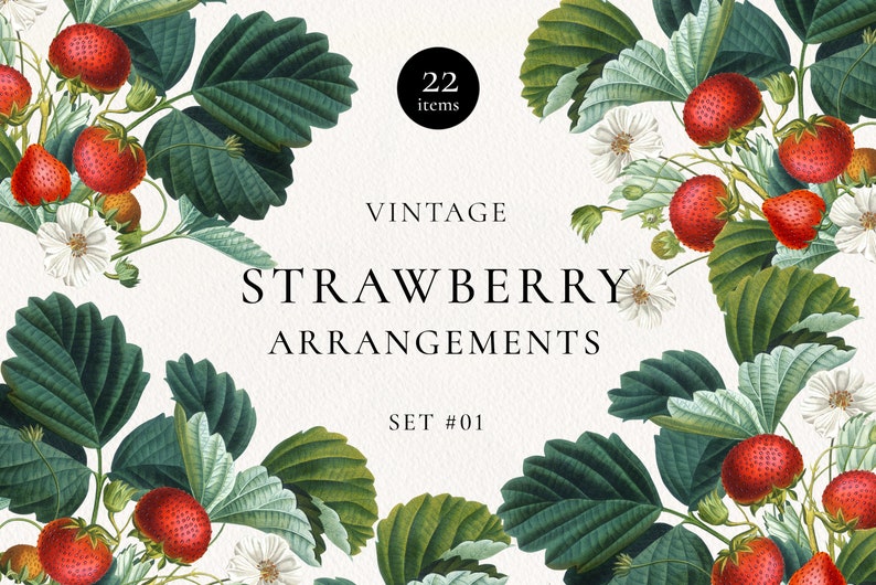 Vintage Strawberry Fruit Elements and Bouquets Clipart, Summer Botanical Clip Art, Antique Fruit Graphic Arrangement image 1