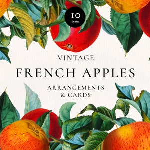 vintage Apple Arrangements et bordures et cartes, Apple Fruit et Branches Botanical Clipart, Modèles de faire-part de mariage Téléchargement numérique