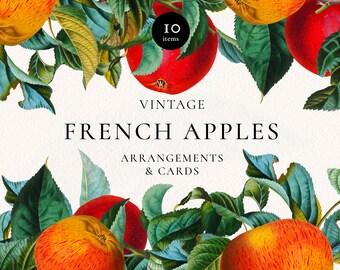 Vintage Apple Botanical Clipart: French Fruit Card Templates (Digital Download)
