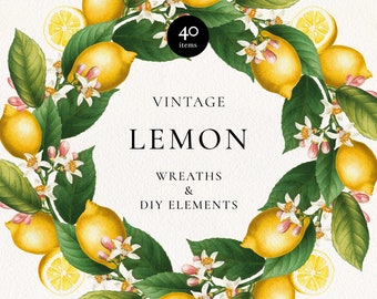 Lemon Citrus Wreath Frames, Citrus Botanical Clip Art, Lemon Fruit Elements, Citrus Wedding Invitation, DIY Citrus Logo Design