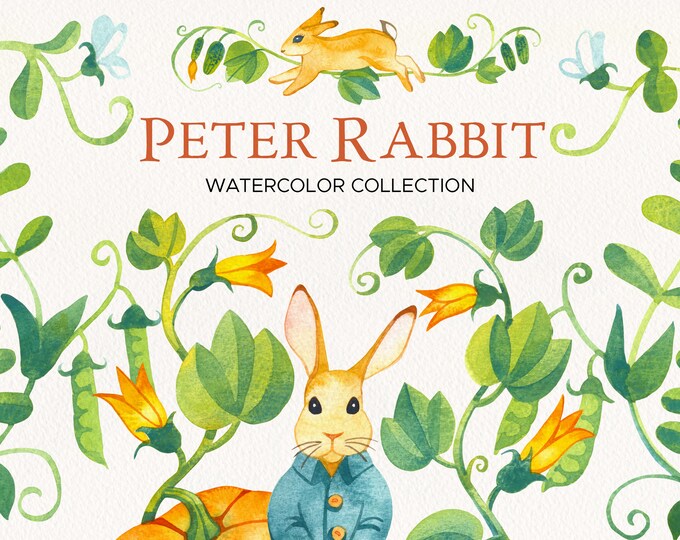 Peter Rabbit Watercolour Animation This item is unavailable - Etsy