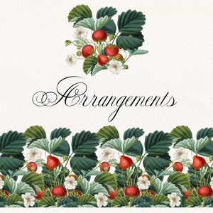 Vintage Strawberry Fruit Elements and Bouquets Clipart, Summer Botanical Clip Art, Antique Fruit Graphic Arrangement image 3