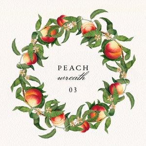 Vintage Pfirsich Kranz PNG: Botanischer Hochzeitseinladungsrahmen (Digitaler Download)