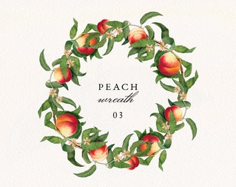 Peach Wreath #03 PNG, Vintage Peach Fruit and Leaves Digital Frame, Retro Botanical Wedding Invitation Clip Art, Commercial License