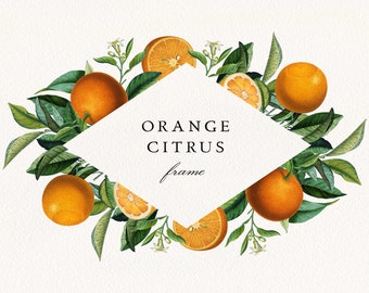 Orange Citrus Frame #04 PNG, Citrus Fruits Greenery Digital Frame, Florida Oranges Wedding Invitation Clipart, Free Commercial License