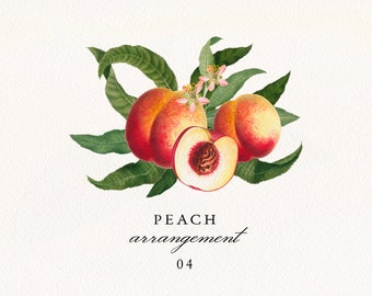 Peach Arrangement #04 PNG, Vintage Peach Fruit and Leaves Bouquet, Botanical Wedding Invitation Clip Art, Commercial License