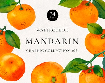 Mandarin Watercolor Clip Art, Hand Painted Orange Citrus Fruits Seamless Pattern and Arrangement