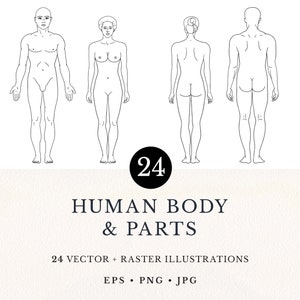 Human Body & Parts Line Art Illustration Set, 24 Vector Clip Arts, Digital Download, Commercial License