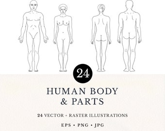 Human Body & Parts Line Art Illustration Set, 24 Vector Clip Arts, Digital Download, Commercial License